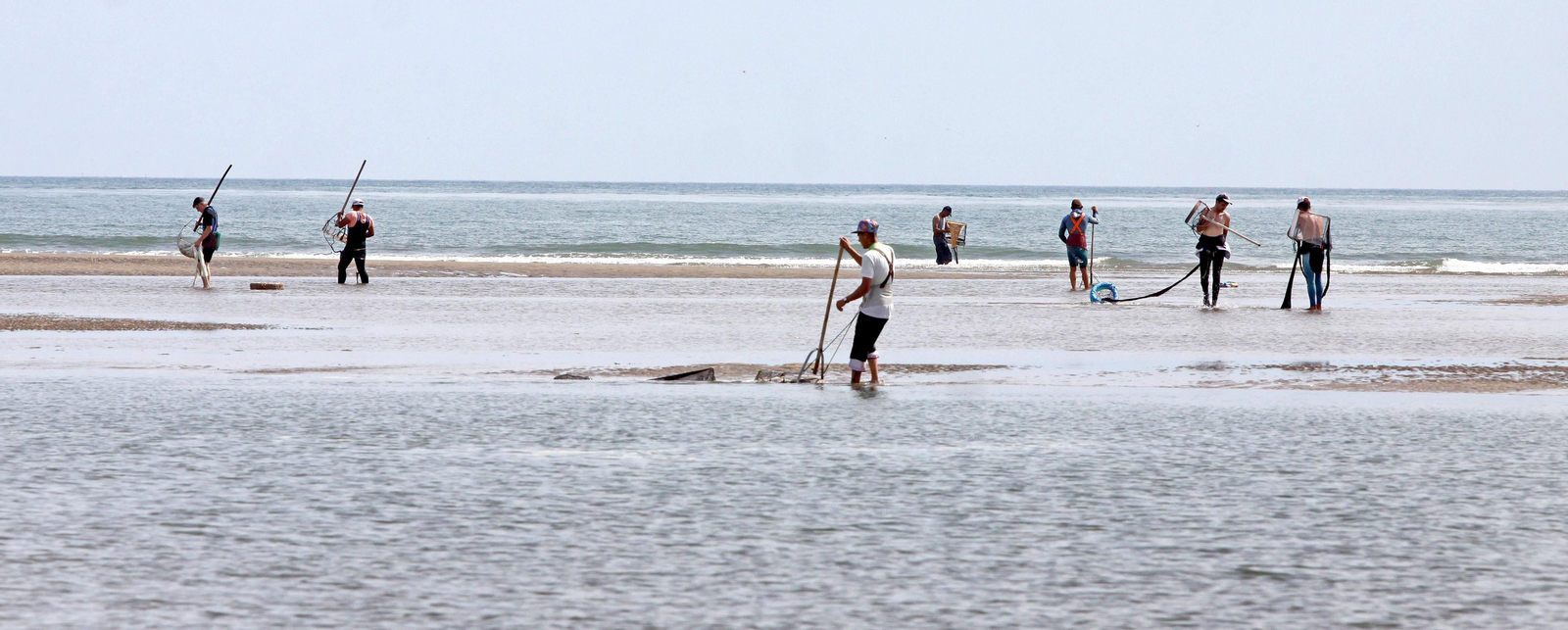 Mariscadores faenando coquina en los bajos de la flecha de El Rompido.