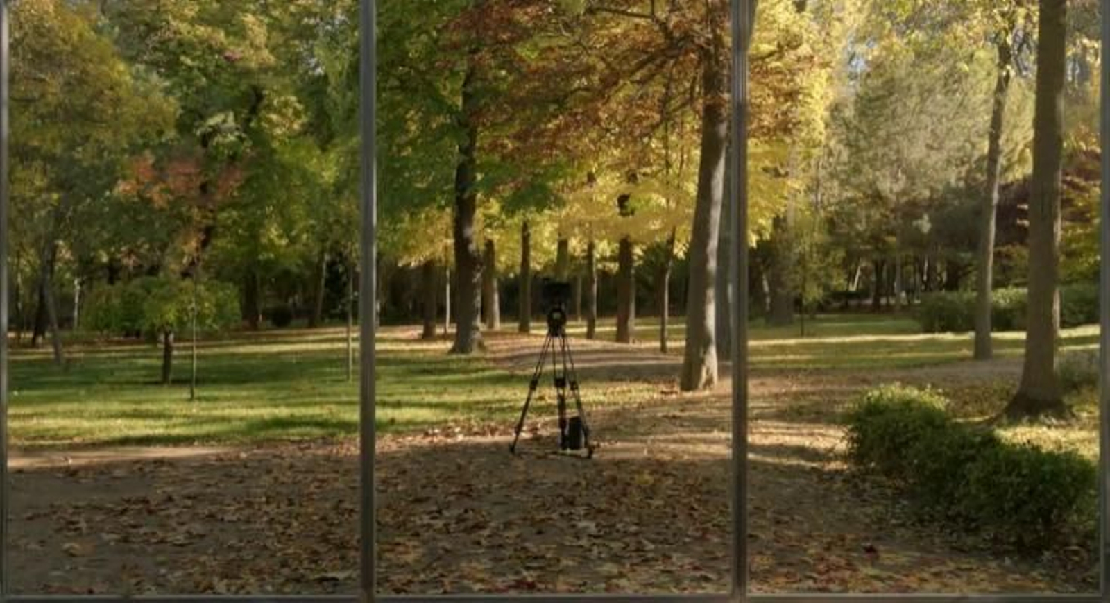 Juan Carlos Bracho Jiménez (Cádiz), 'Imitación a la vida'.