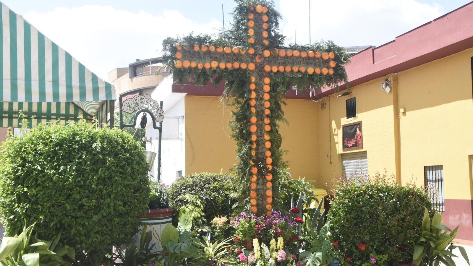Cruz de la Peña Cultural Flora.