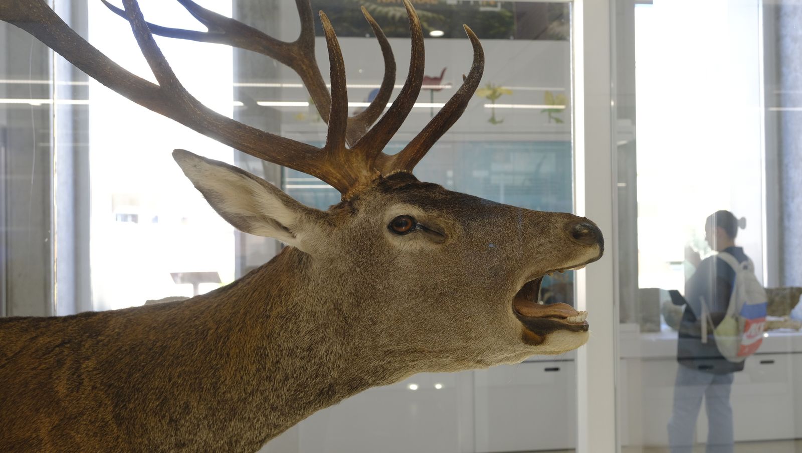 Las mejores imágenes del Pabellón de Historia Natural de la UAL