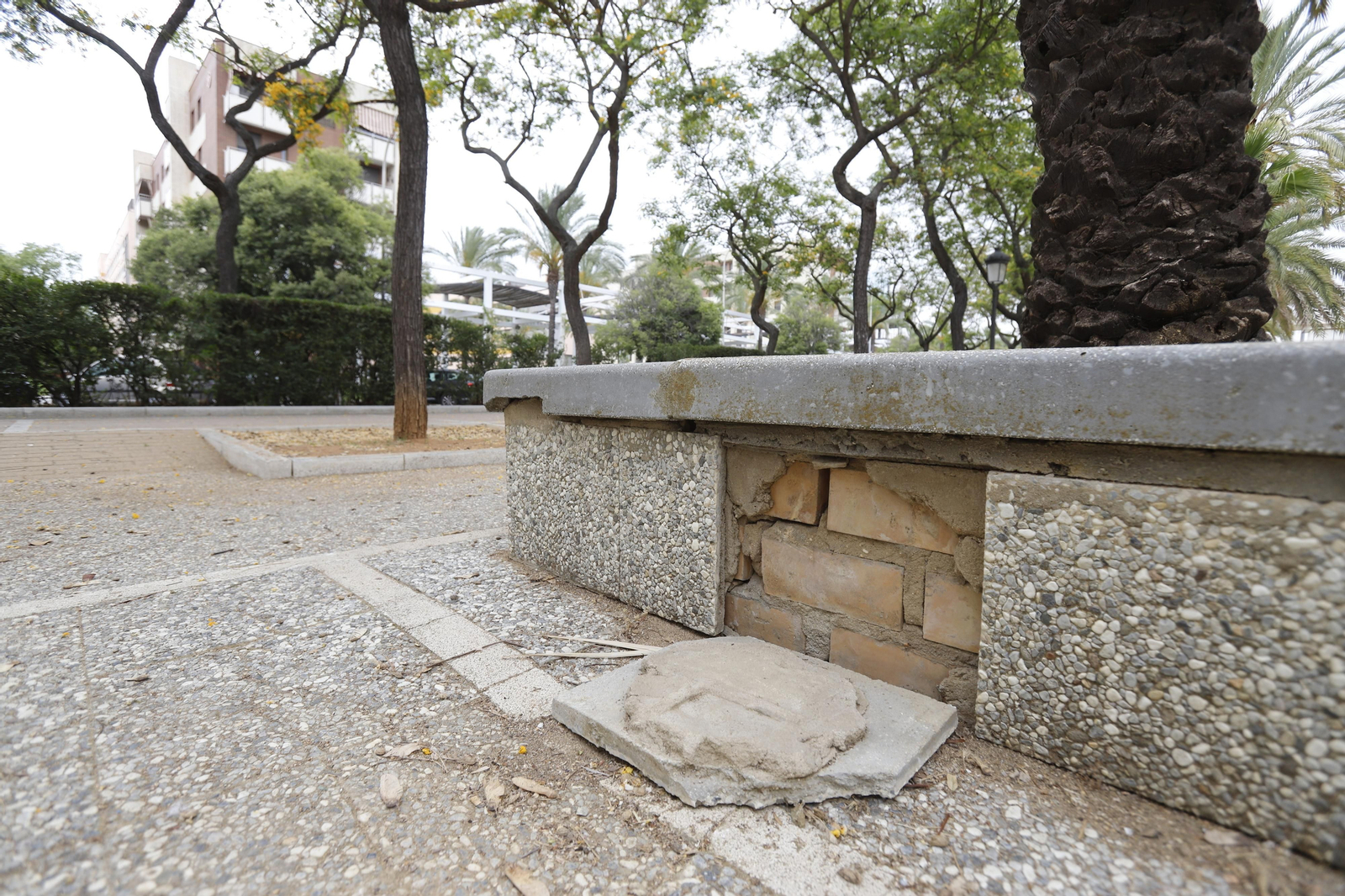 Imágenes del deterioro en la Avenida de Andalucía