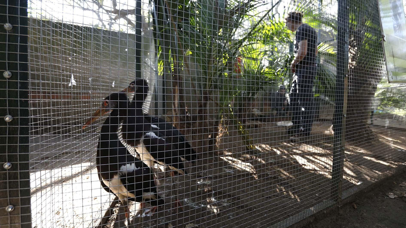 Las fotos del Zoo de Castellar de la Frontera