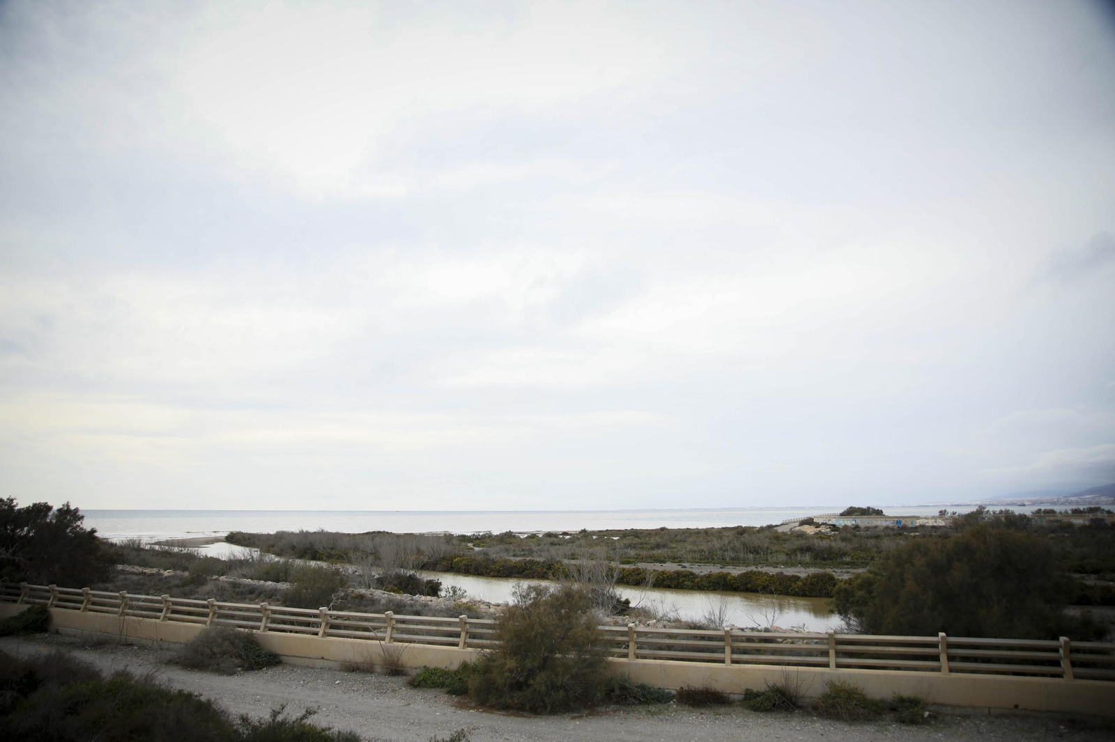 La desembocadura del río Andarax, en imágenes