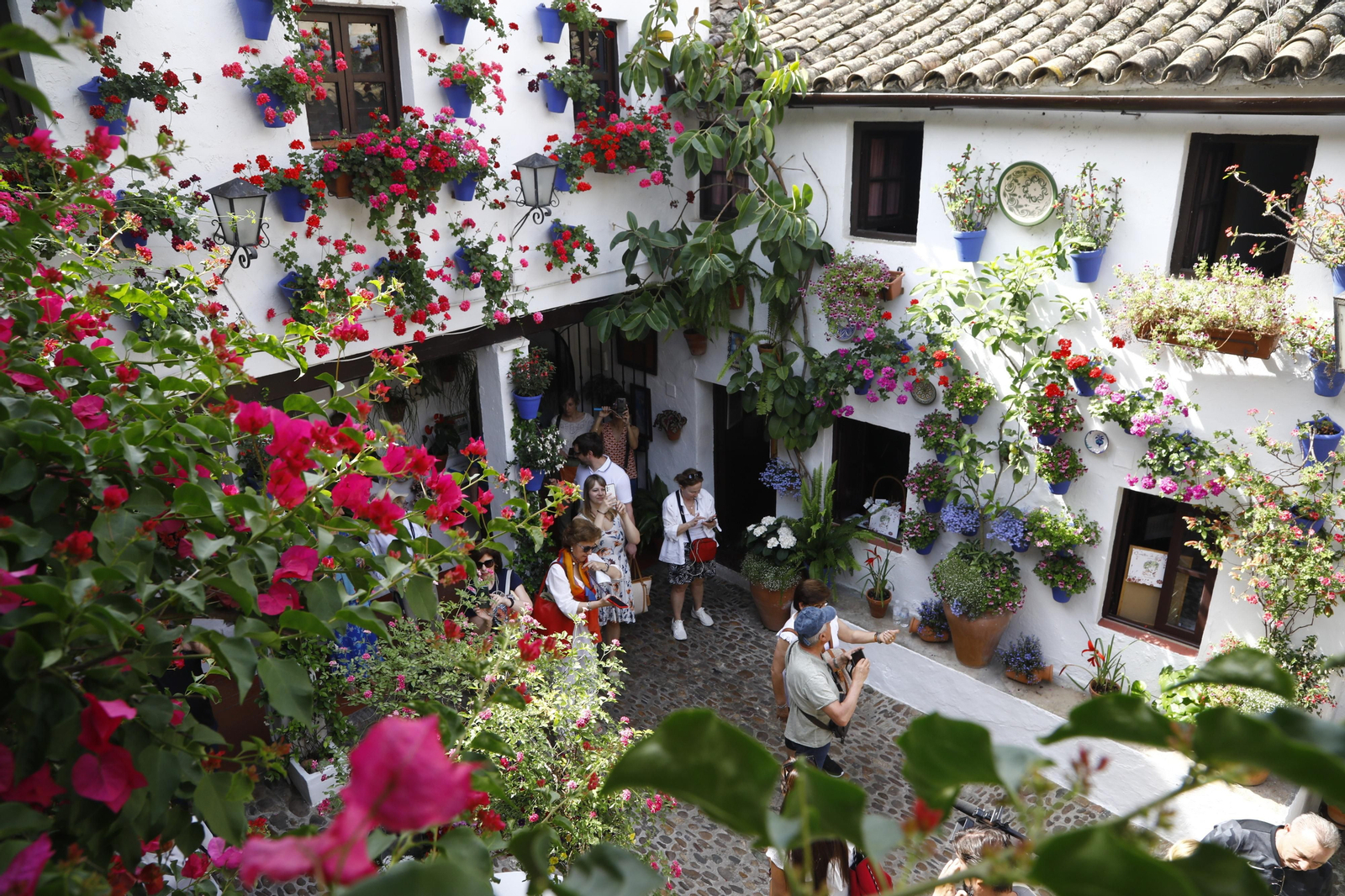 El primer día de Patios en Córdoba, en imágenes