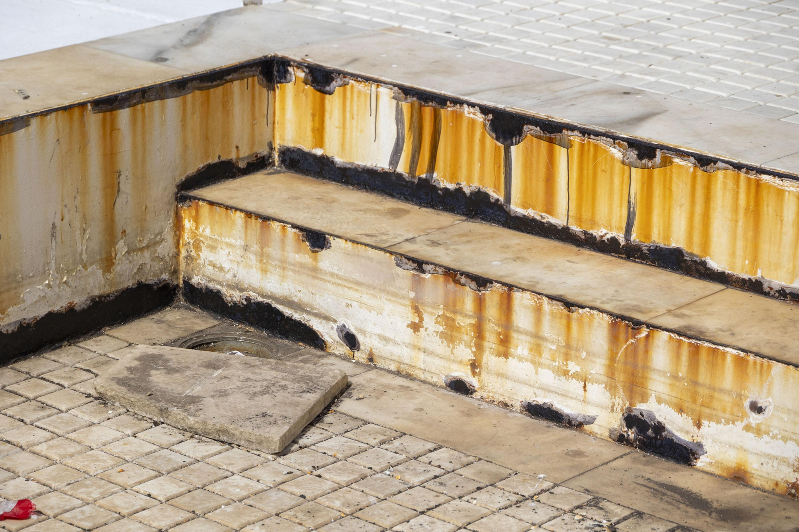 Las imágenes del mal estado de los paseos de Cádiz