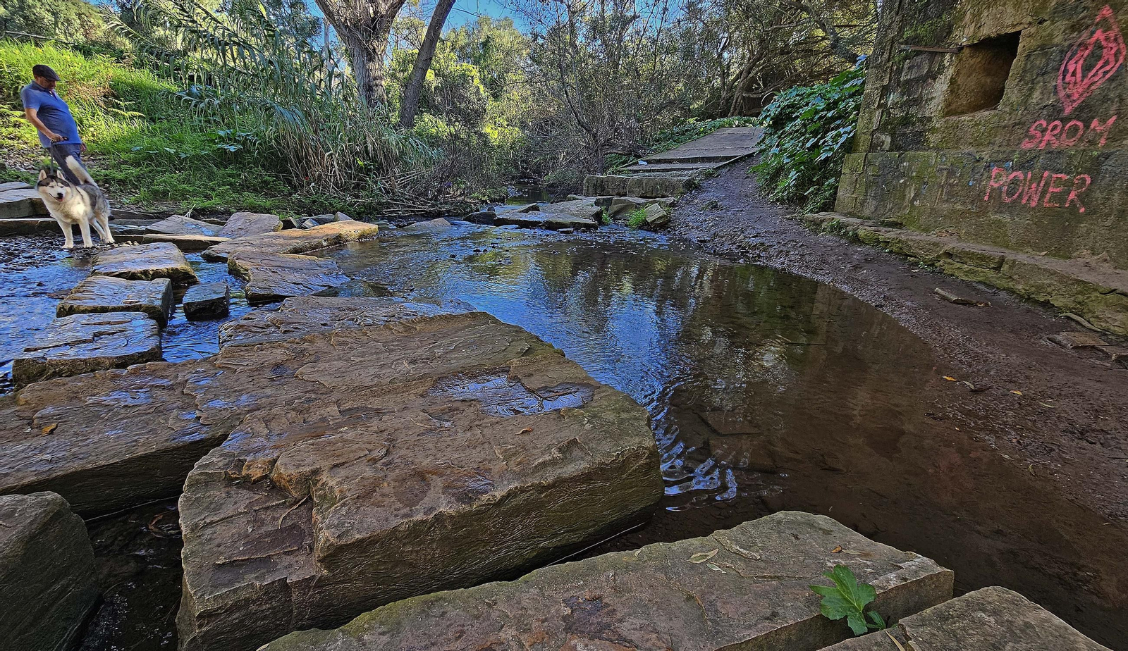 Fotos de los desperfectos en el sendero del parque fluvial del río Pícaro en Algeciras