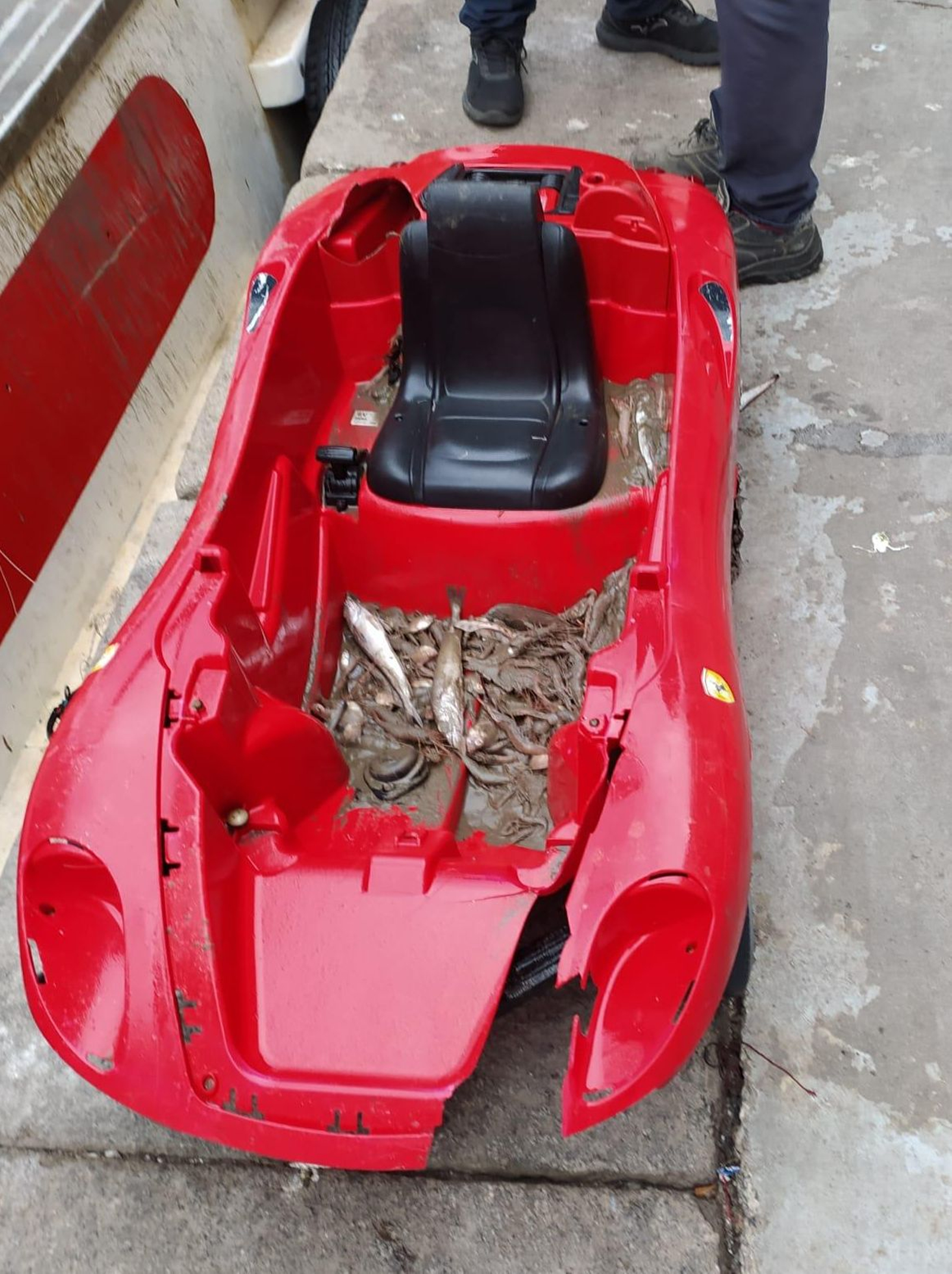 Un coche de juguete, entre otros muchos utensilios sacados del fondo marino por los pescadores almerienses.