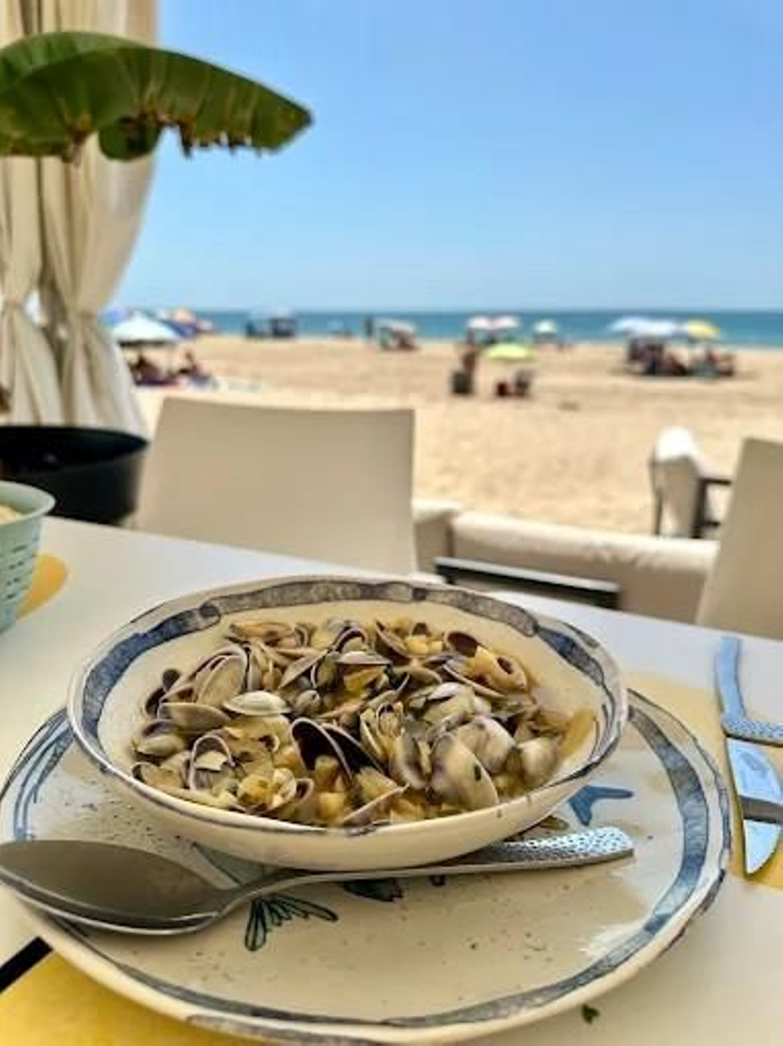 Molamola Ocean Side (Rota).