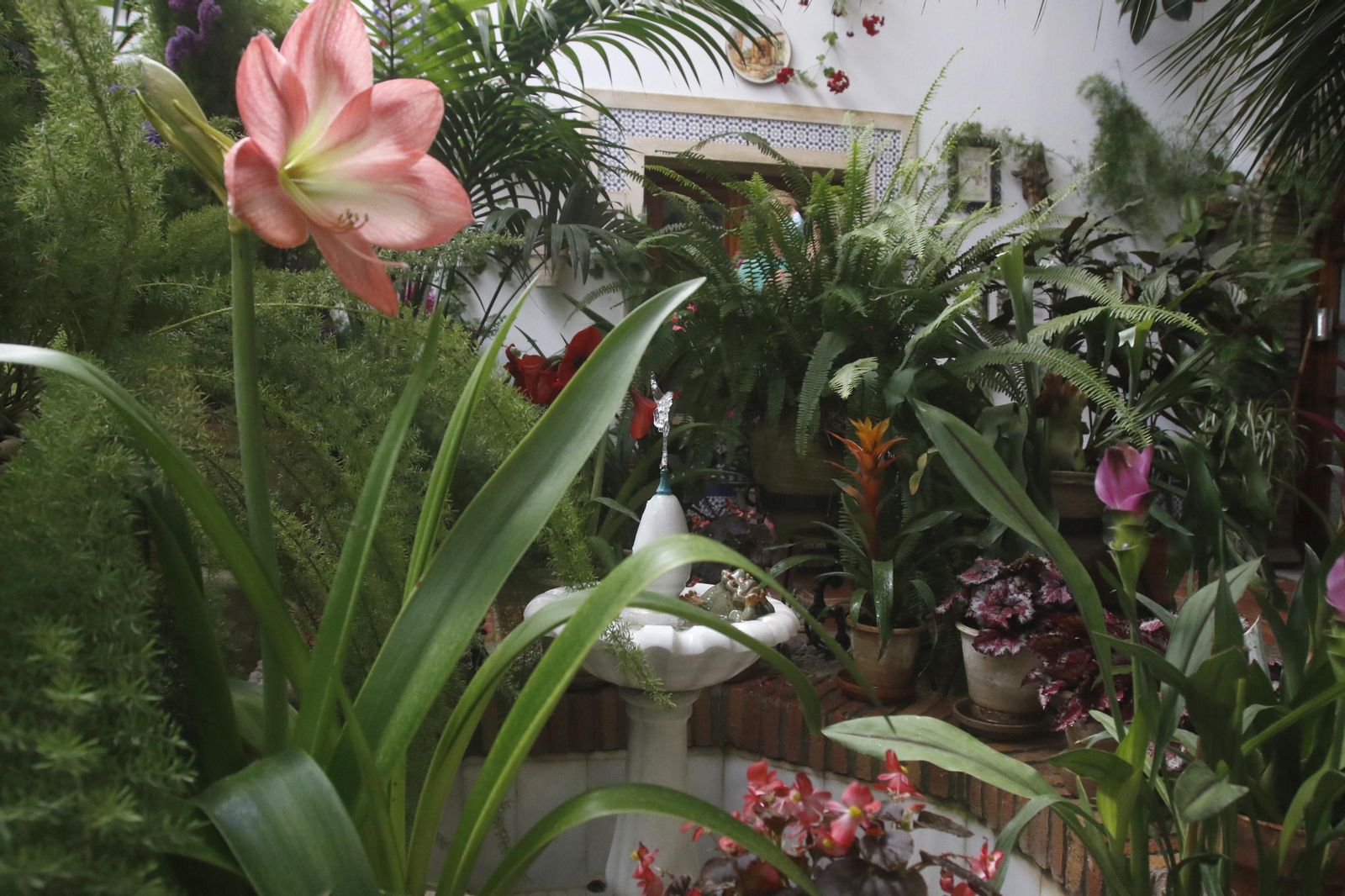 Ruta Judería - San Francisco de los Patios de Córdoba, en imágenes