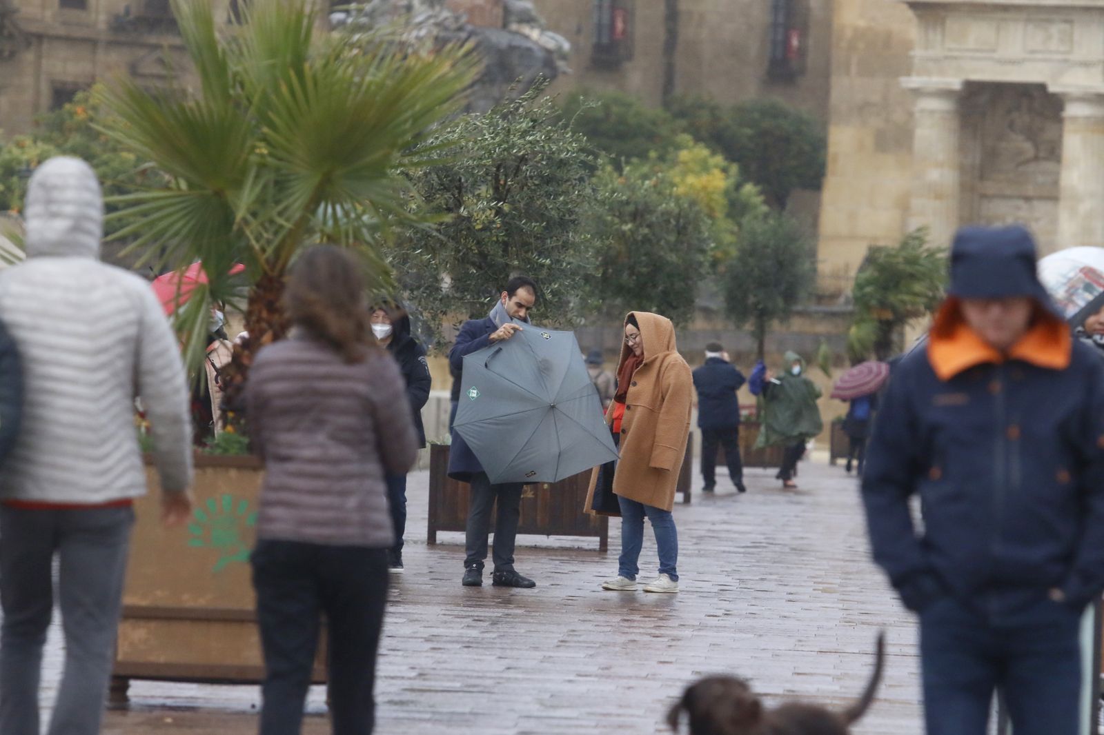 Un día de Navidad en Córdoba pasado por agua, en fotografías