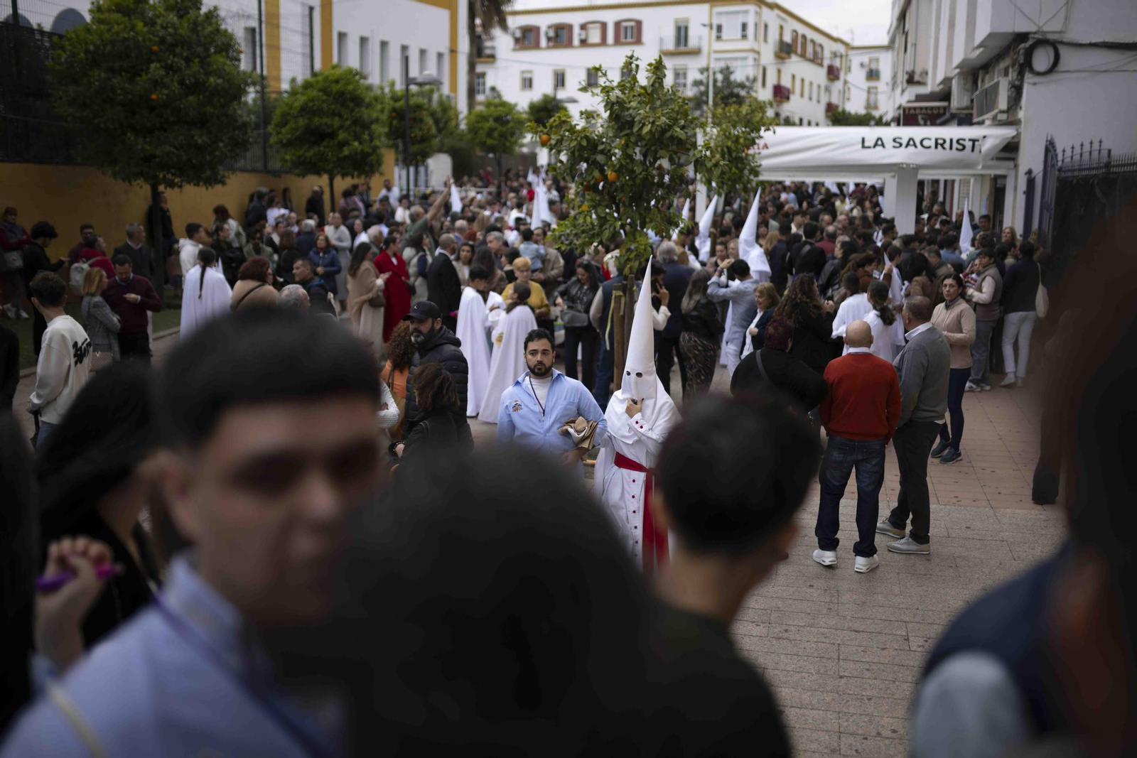 Lunes Santo: Imágenes de la Hermandad de Las Tres Caídas