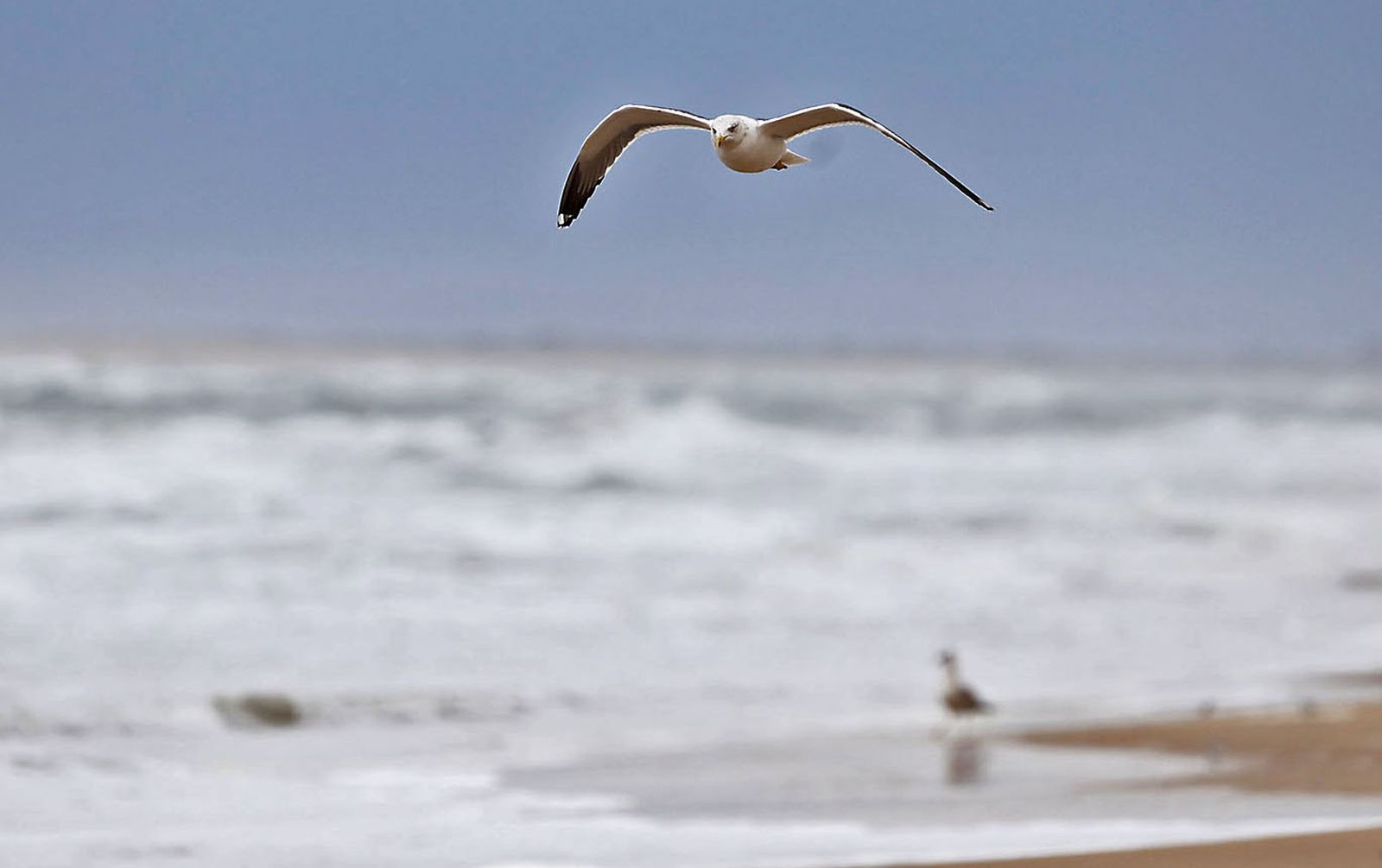 Las fotografías del primer día del años en las playas de Huelva