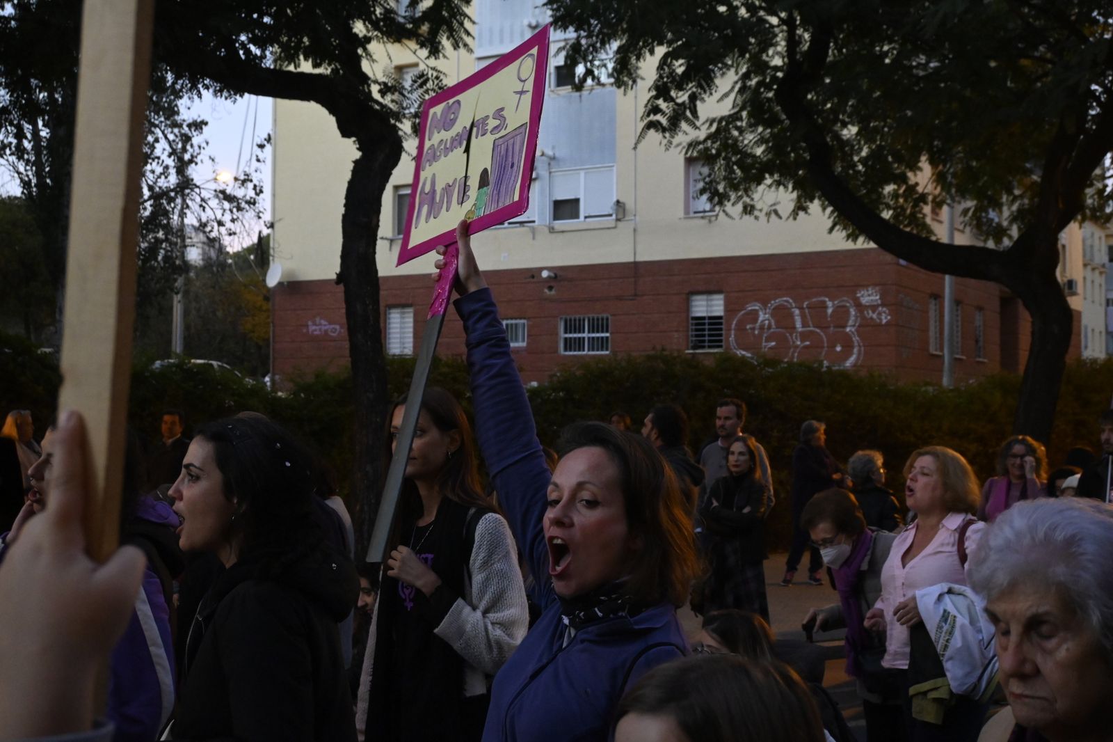 Manifestación del 25N en Imágenes.