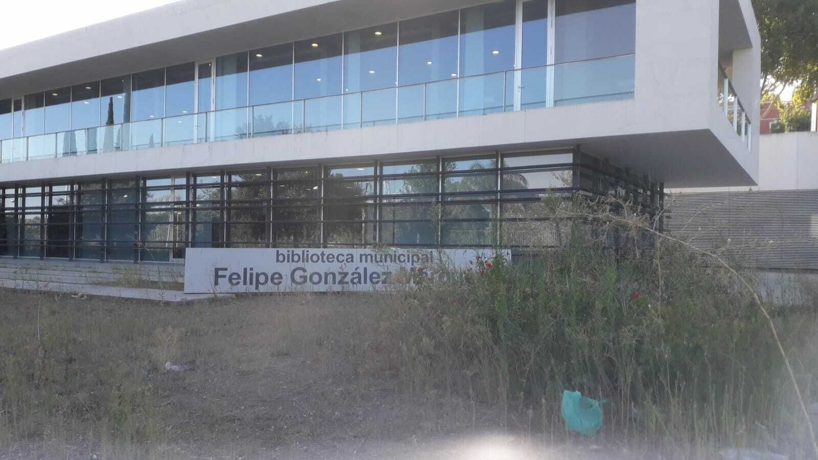 Matojos en la entrada de la Biblioteca de Torneo.