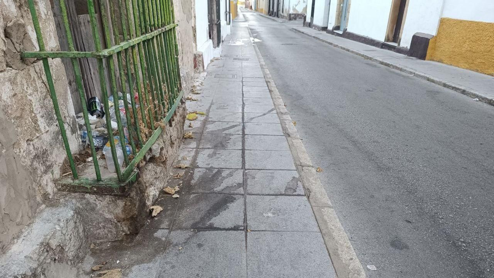 Basura en el cierro de una casa del casco histórico.