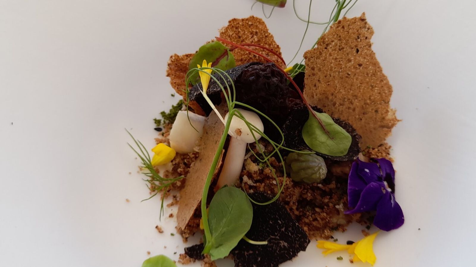 Bosque animado, Quique Dacosta