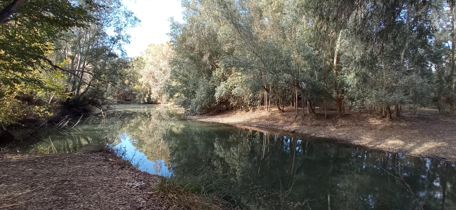 Las imágenes de la ruta ornitológica del corredor verde
