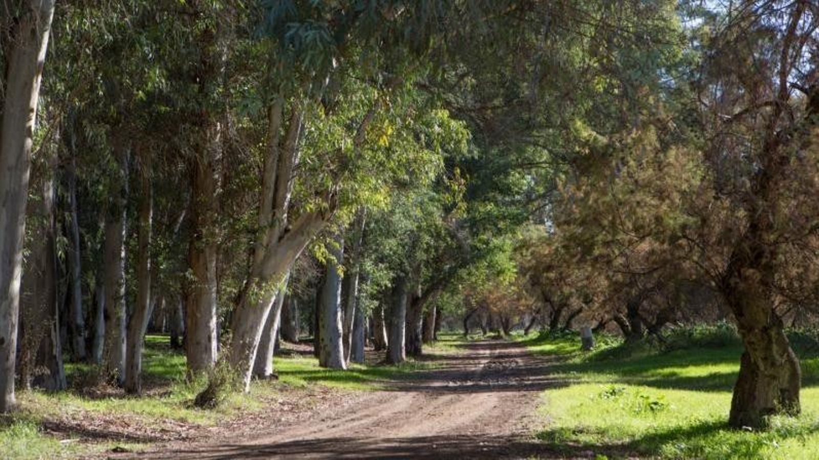 El entorno de La Playita