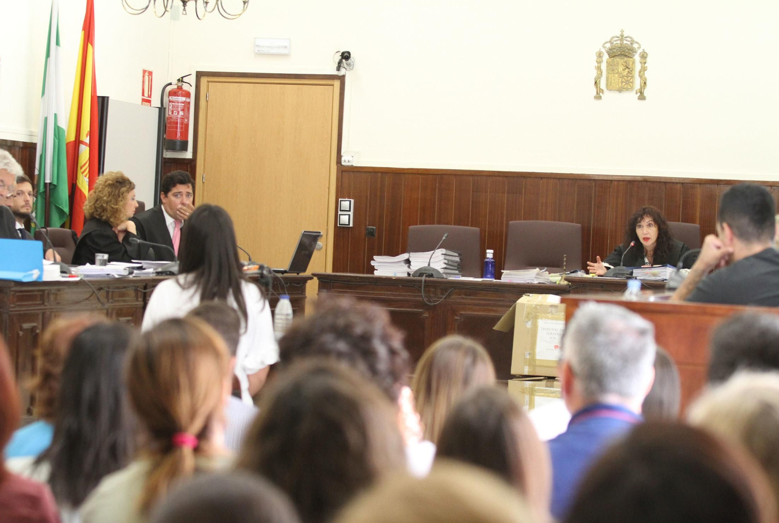 La declaración de la madre y esposa de las víctimas en el juicio del crimen de Almonte, en imágenes