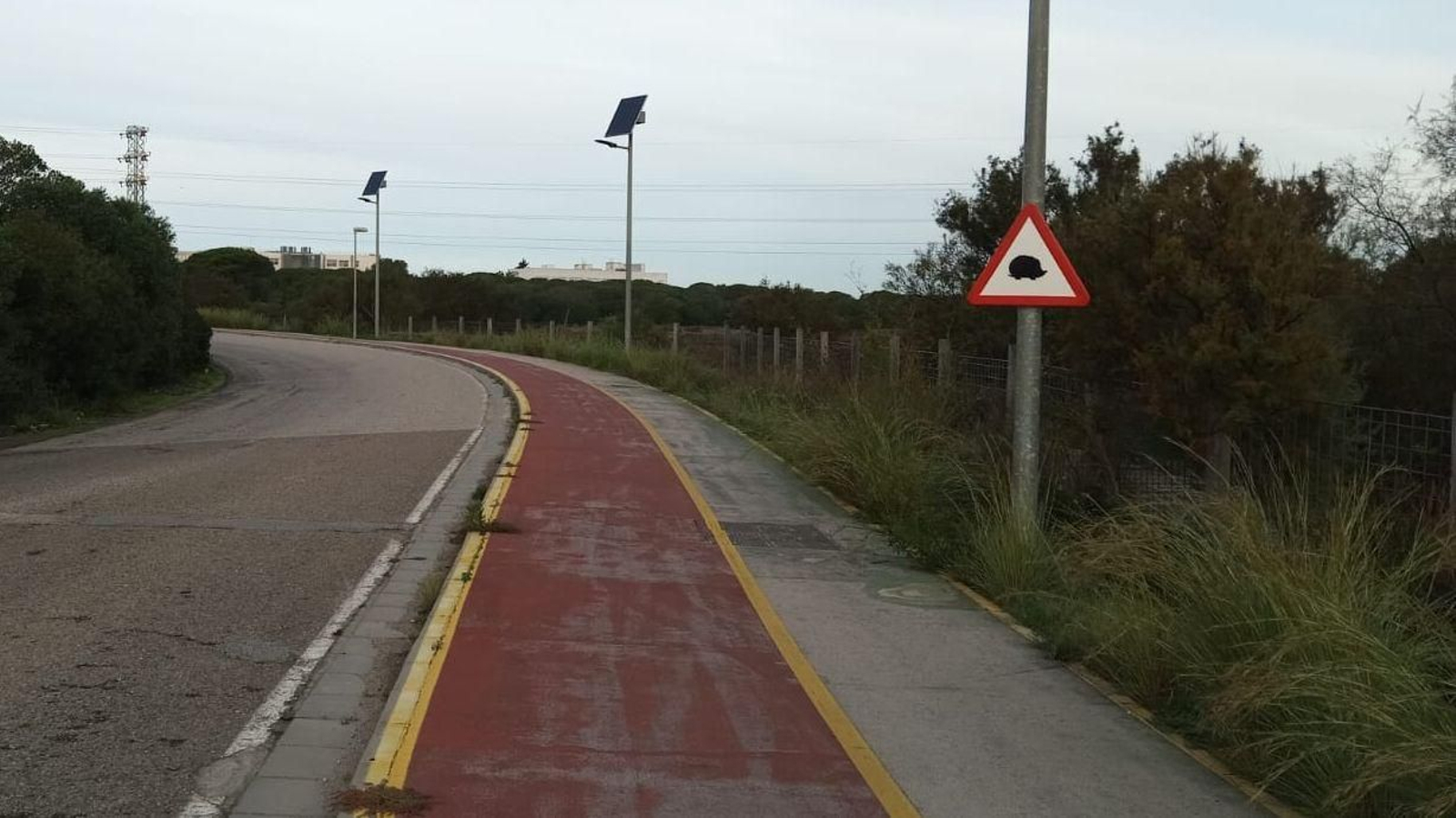 Una de las señales colocadas en la Avenida de la Universidad Una de las señales colocadas en la Avenida de la Universidad