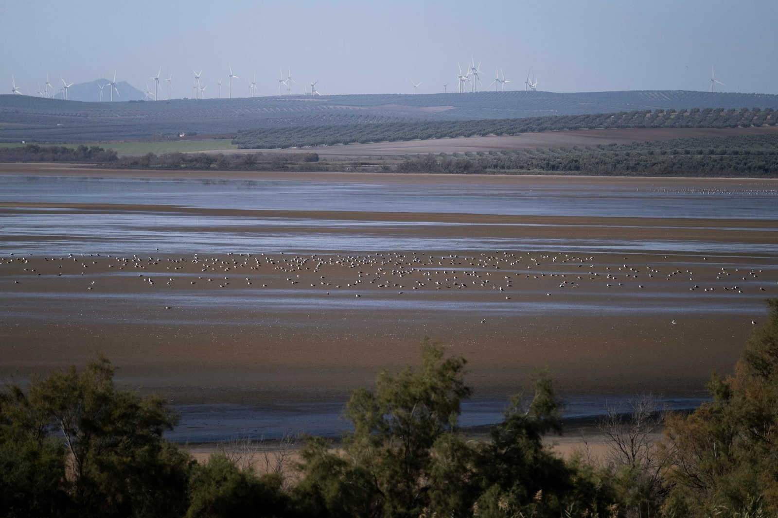 Laguna de Fuente de Piedra tras las lluvias, en fotos