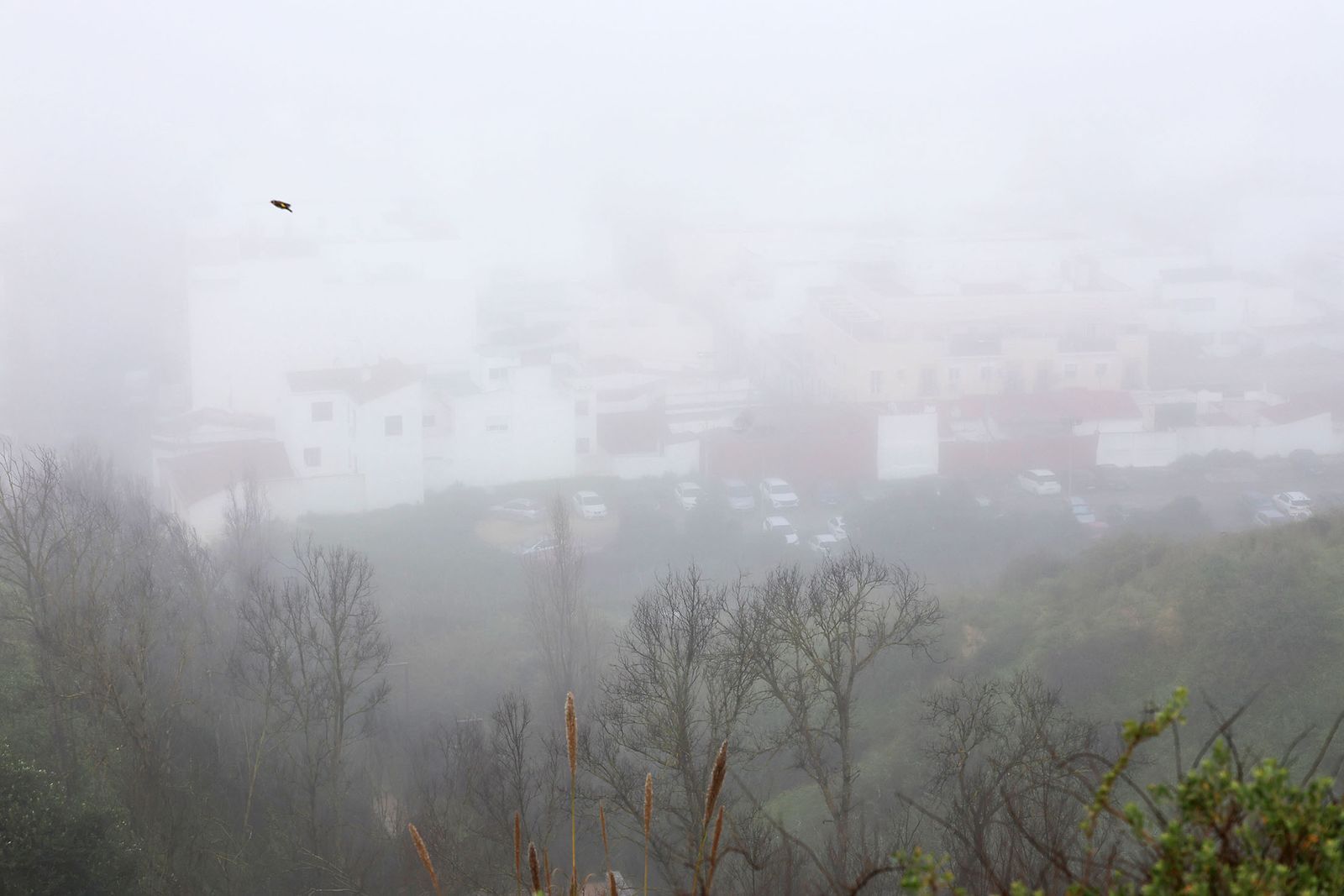 Imágenes de la espesa niebla durante la mañana en Huelva