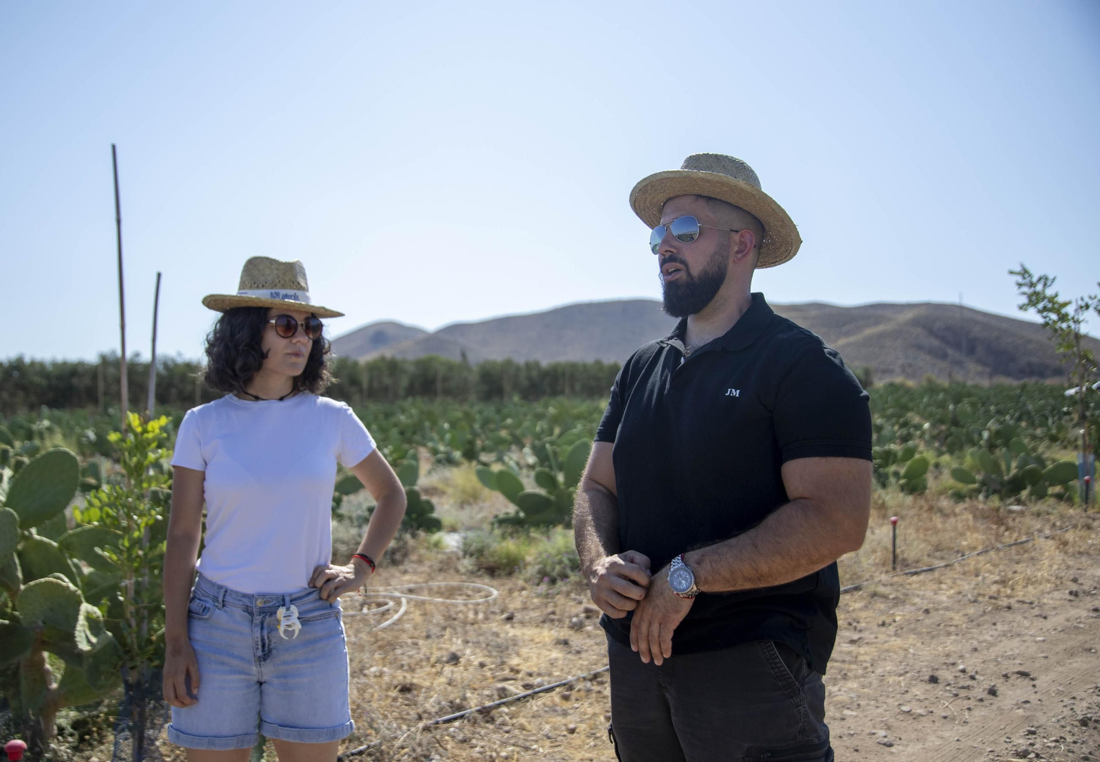 Plantación de chumbos de Níjar
