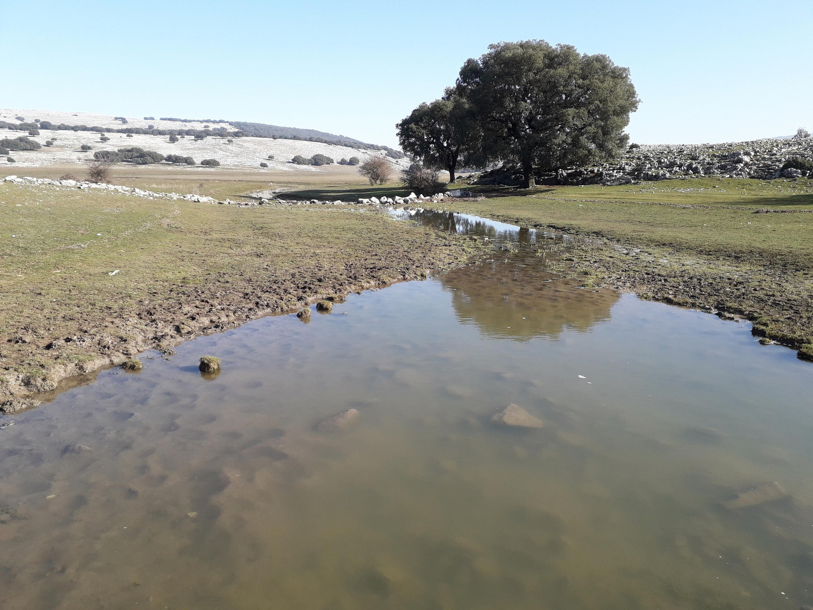 Quejigos centenarios en el geoparque. Los ríos de Córdoba se llenan de vida