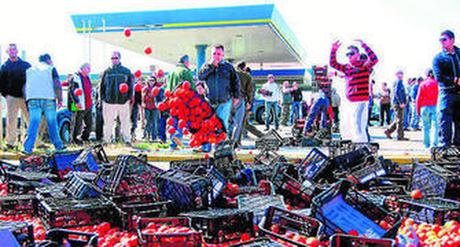 Las quejas de Almería sobre el tomate marroquí caen siempre en saco roto.
