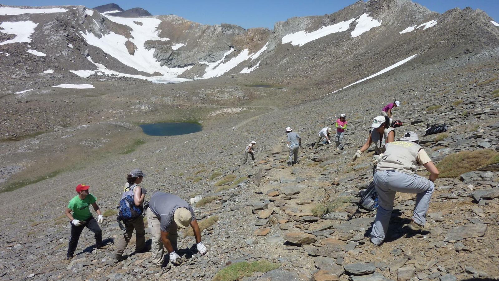 Restauración paisajística en la ladera del Mulhacén.