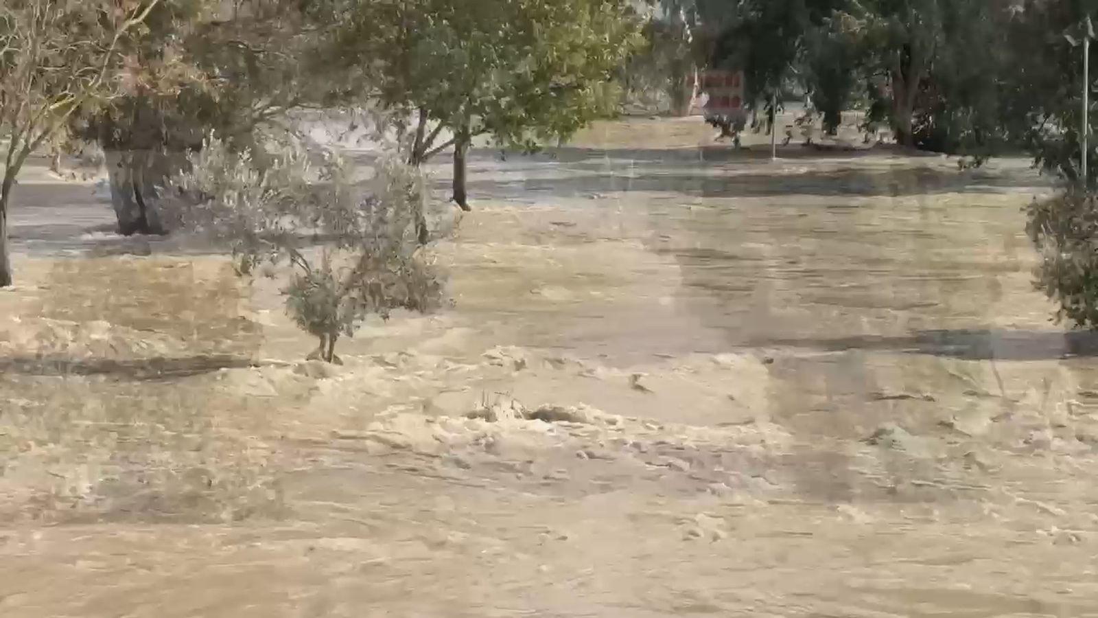 Vecinos de La Barca se acercan al Puente Chico para ver la fuerza con la que baja el río