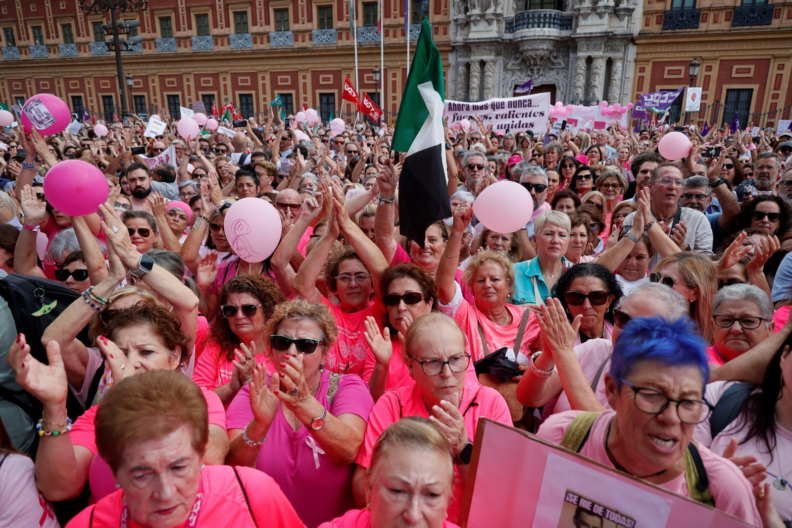 Cientos de mujeres se concentran ante el Palacio de San Telmo en el momento álgido de la crisis.