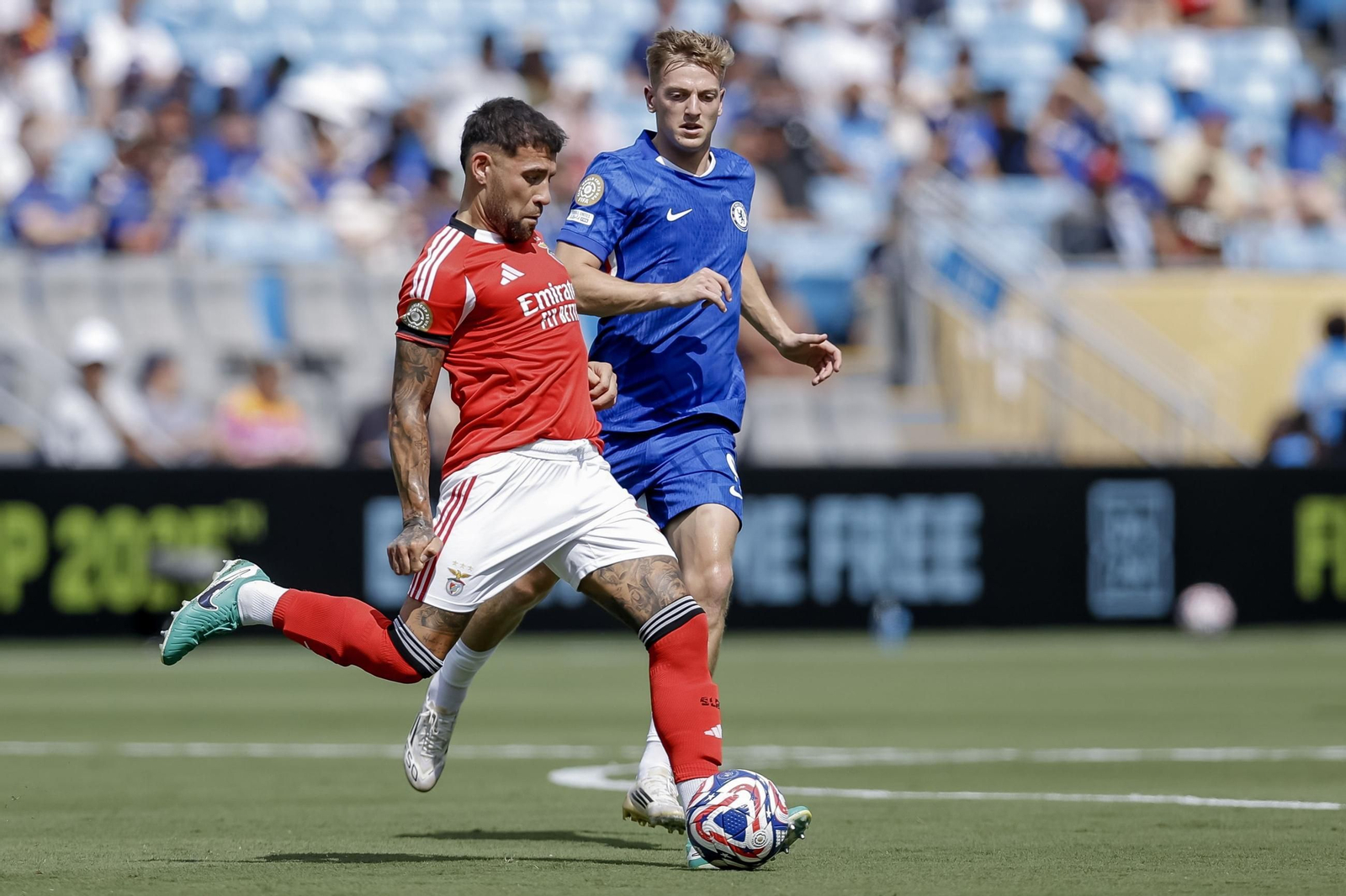 Benfica-Chelsea (48).jpg