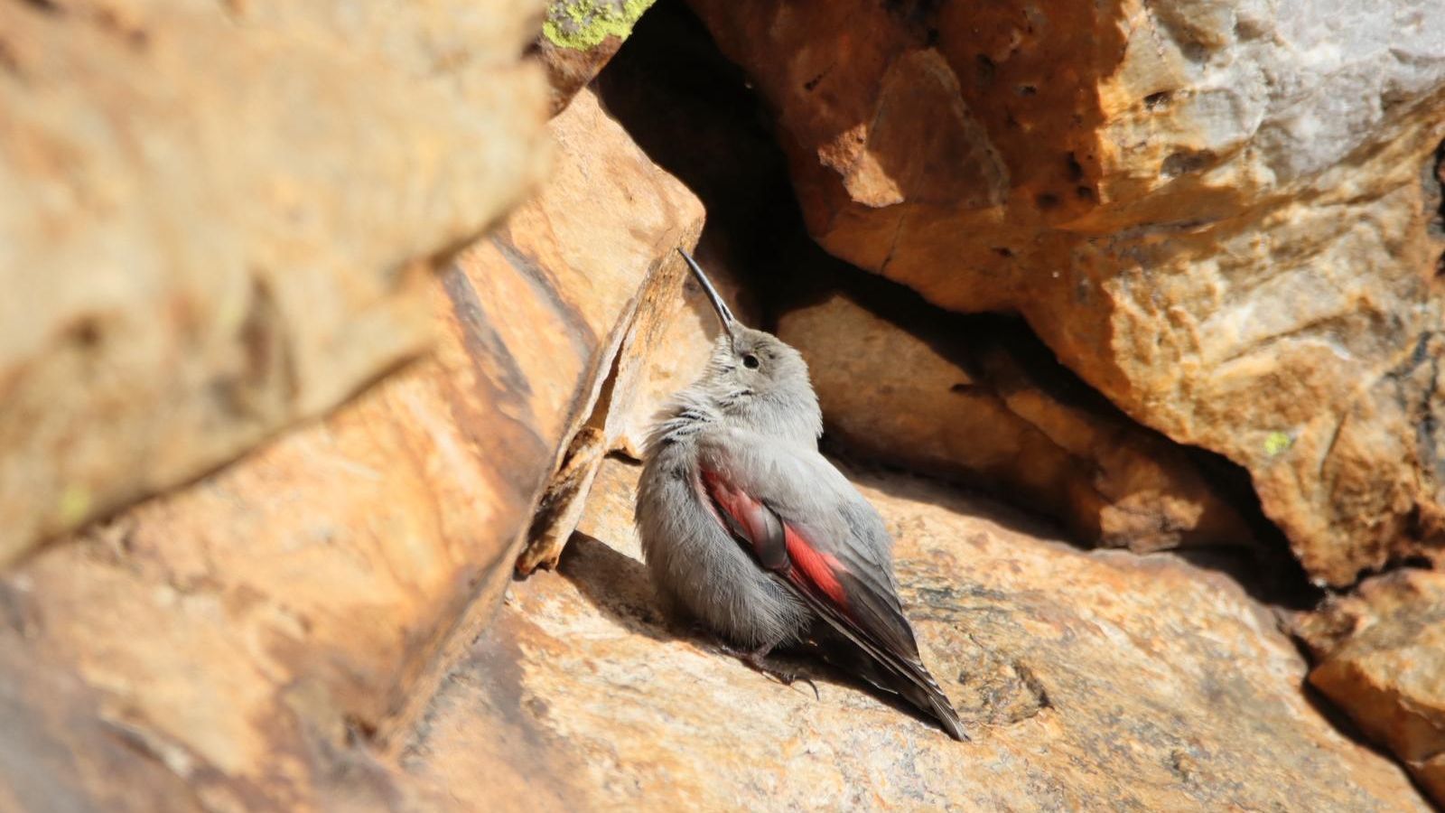 Treparriscos, en la provincia de Huelva.