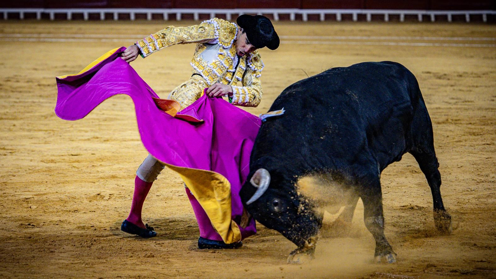 Las imágenes de la corrida de toros en El Puerto: Morante, Talavante y Juan Ortega
