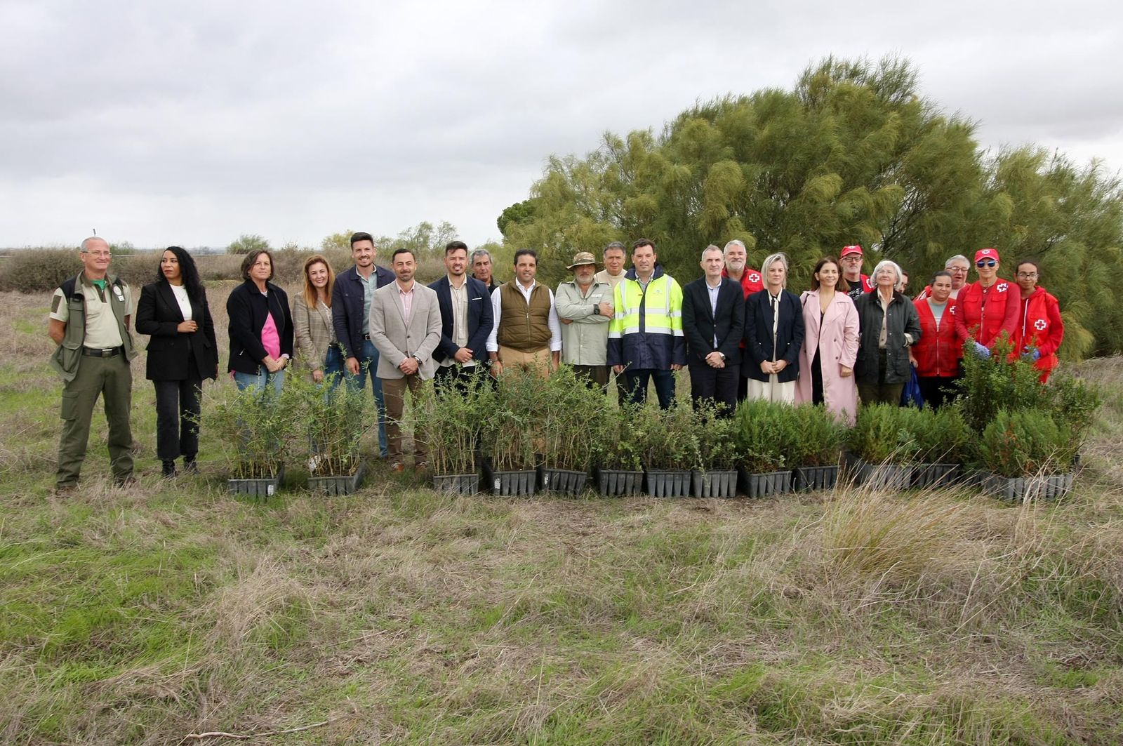 Imágenes de la plantación de árboles en los Llanos de Bacuta, en el Paraje Natural Marismas del Odiel, Huelva