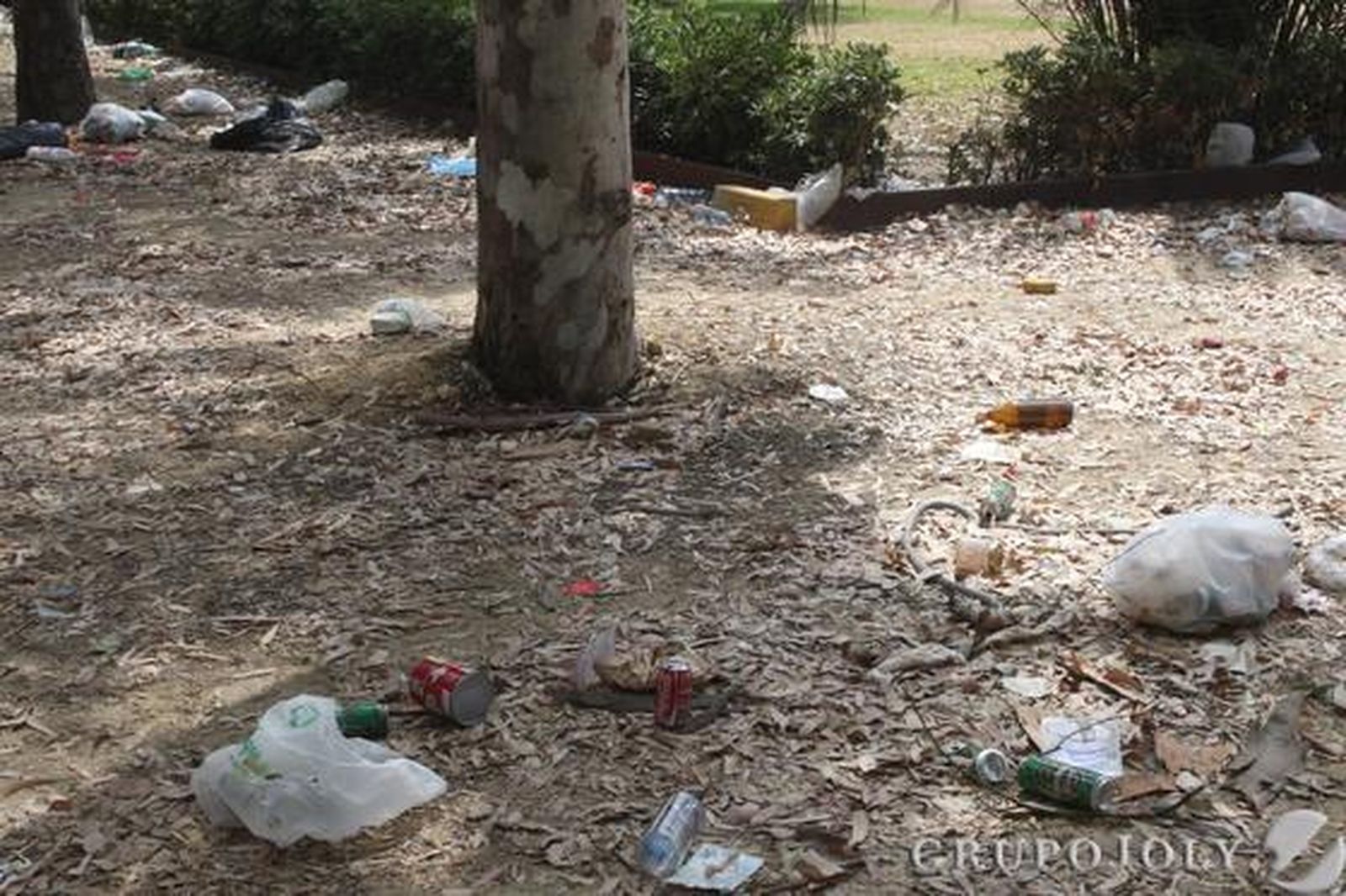 Troncos de árboles rodeados de basura.

Foto: Paco Guerrero