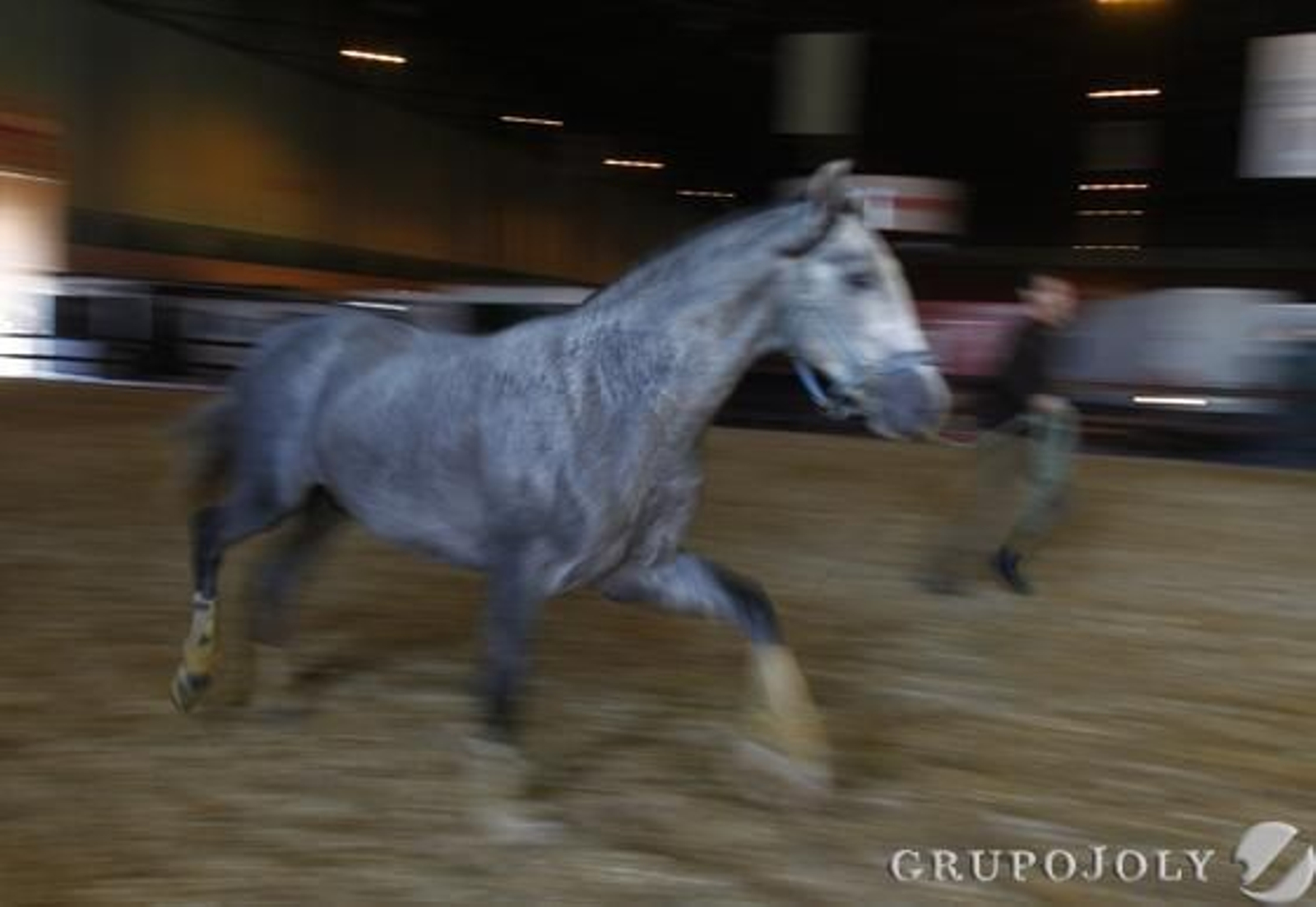 Foto: Antonio Pizarro