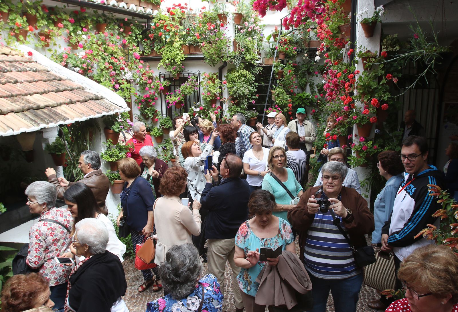 Ambiente en los patios ganadores de 2017