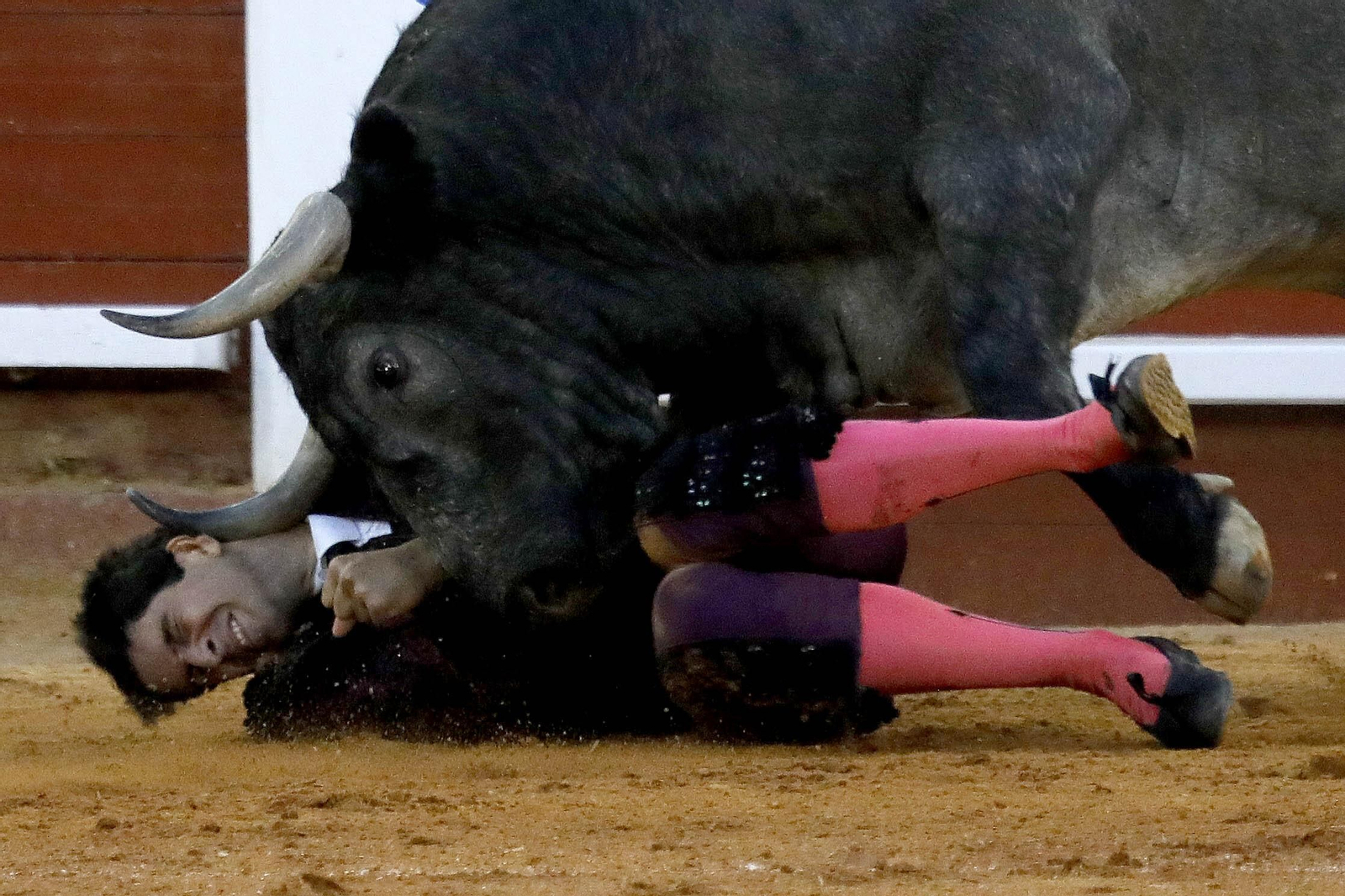 Susto de Alberto López Simón en la corrida del sábado de la Feria de Algeciras
