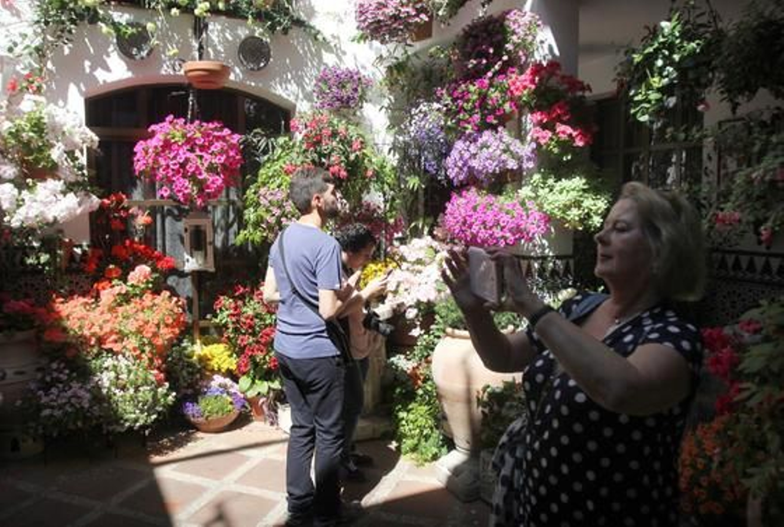 Parras 5.

Foto: Jose Martinez