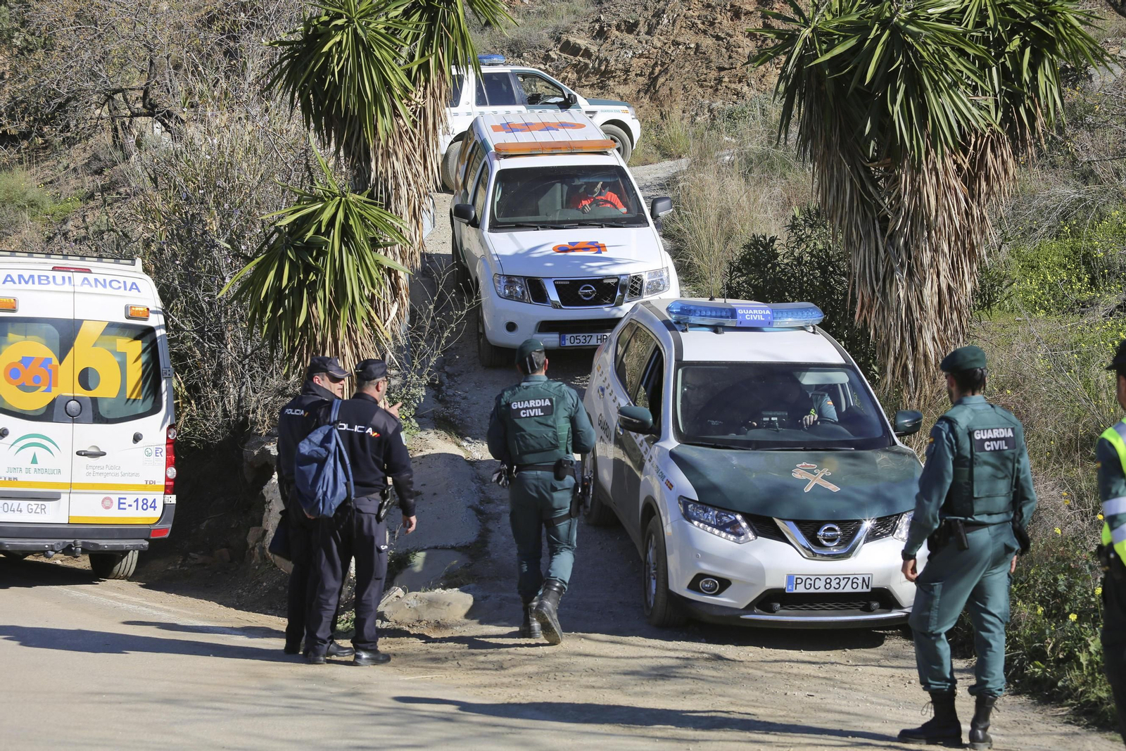 Policías nacionales y guardias civiles, en una intervención conjunta.