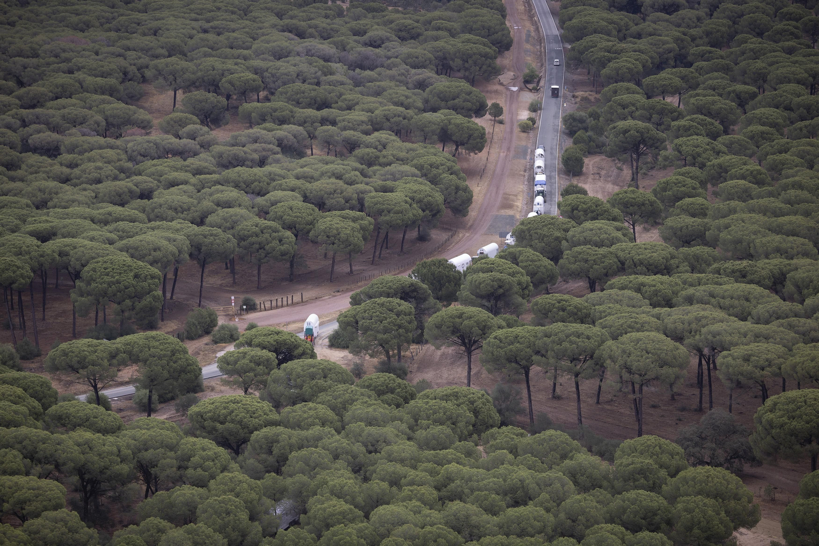 Las impresionantes fotos del camino del Rocío, desde el helicóptero de la Guardia Civil