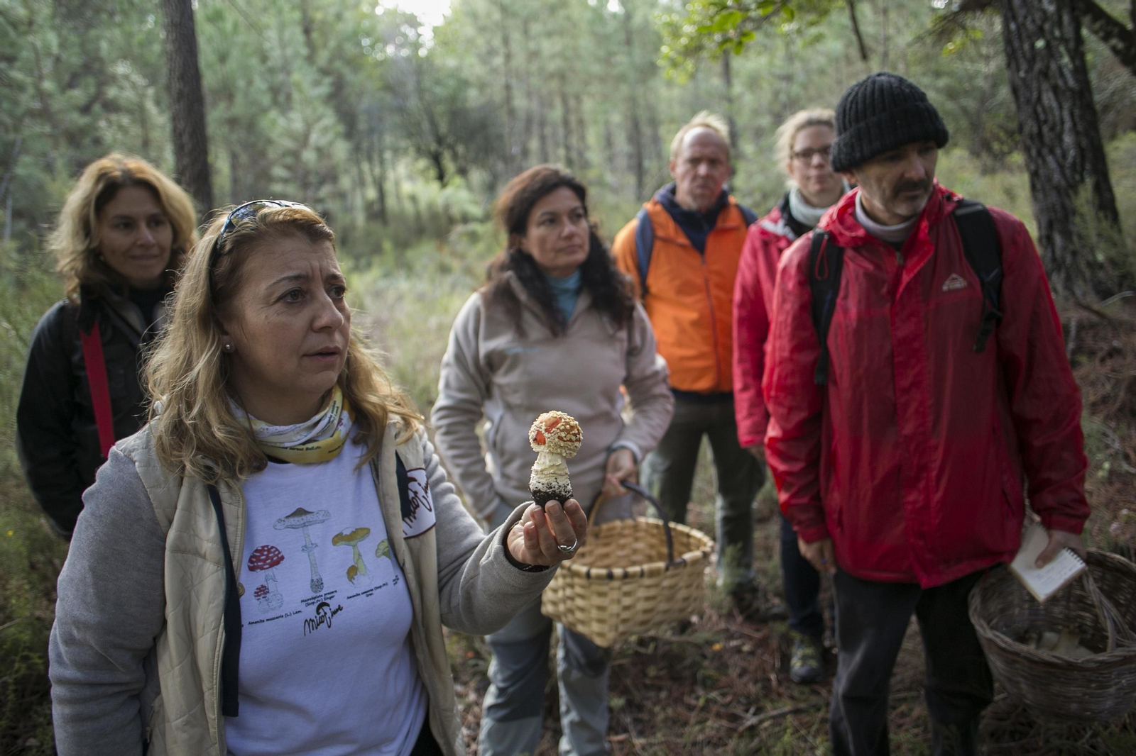 La Serranía de Ronda, joya de la micología