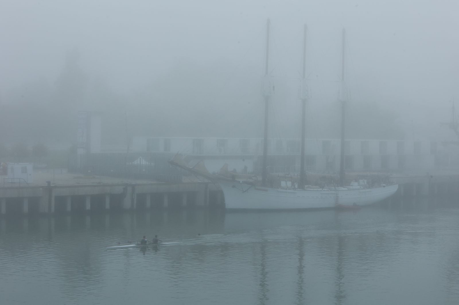 Las mejores imágenes de la niebla que cubría  Sevilla de nuevo