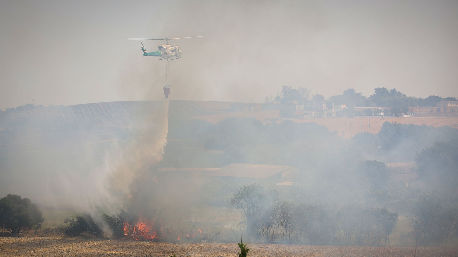 El fuego llega a las  casapuertas en Jerez