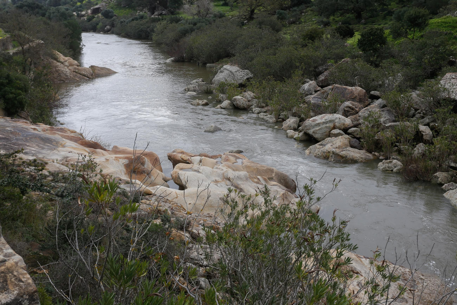 Fotos de los ríos del Campo de Gibraltar tras las últimas lluvias