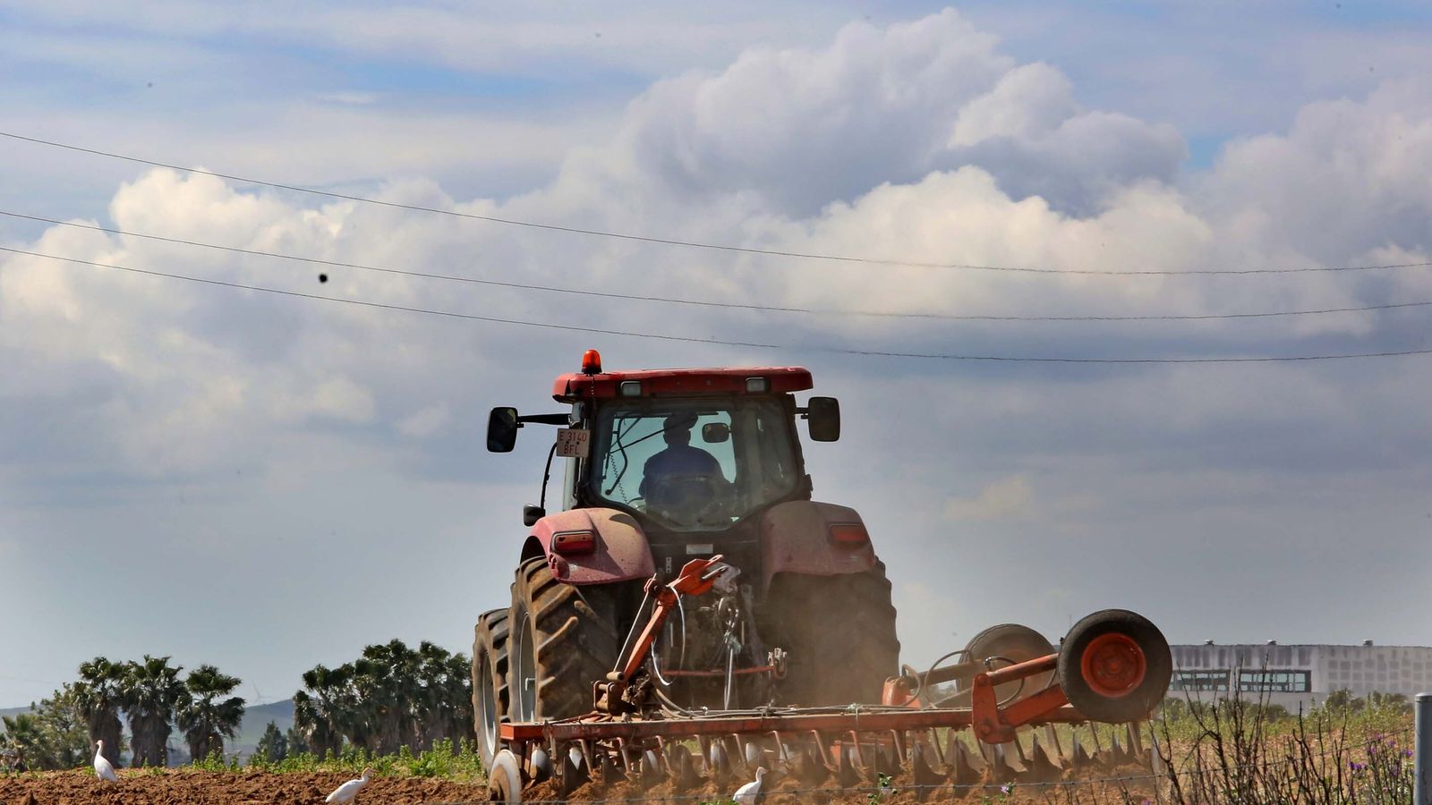 Un agricultor labra las tierras con el tractor.