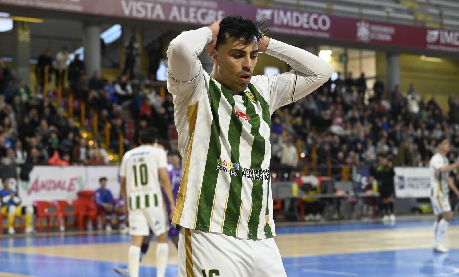 Las mejores fotos del ambiente en Vista Alegre para el Córdoba Patrimonio - Palma Futsal