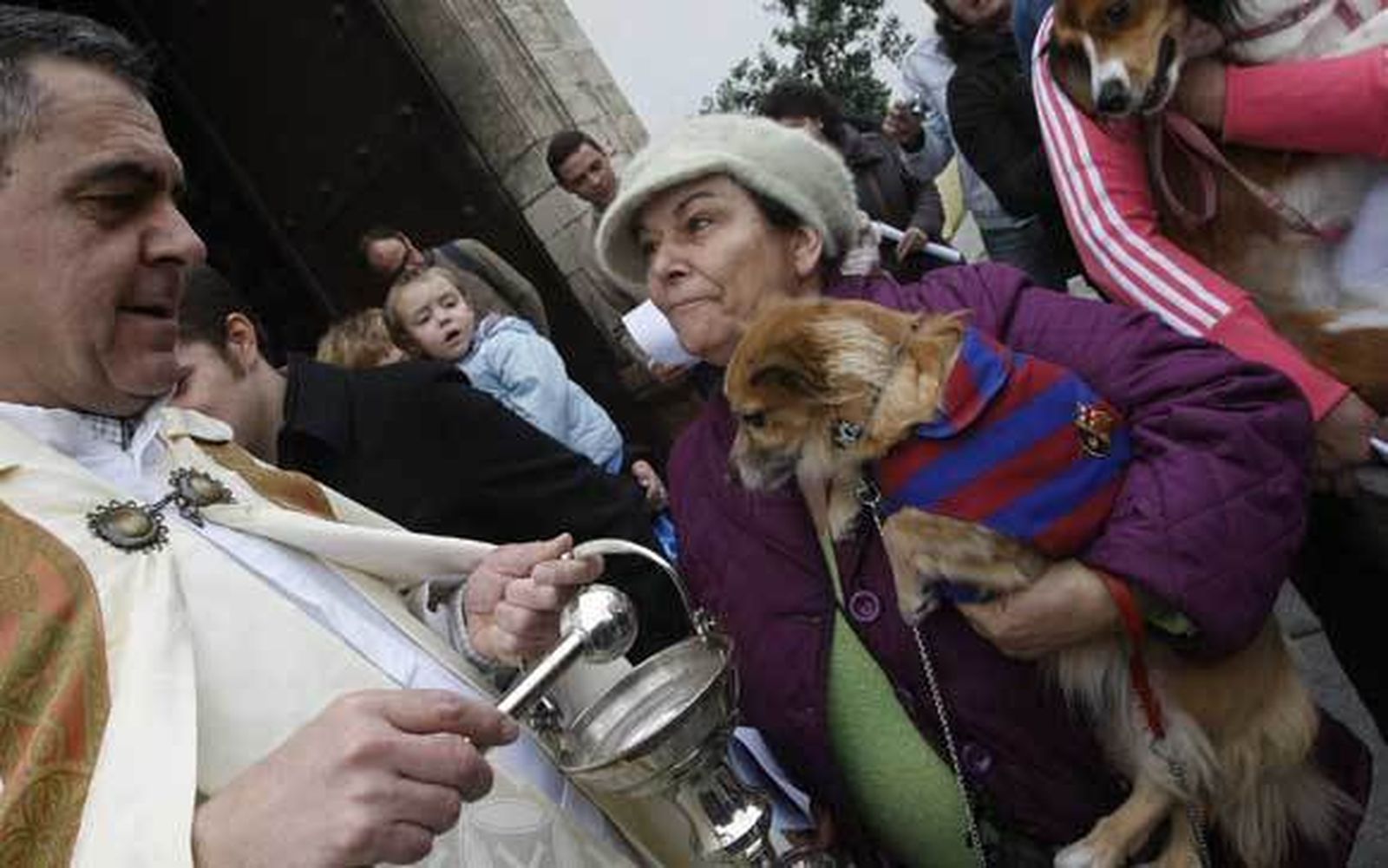 Bendición de animales en Santo Domingo, en Cádiz  Foto: José Braza